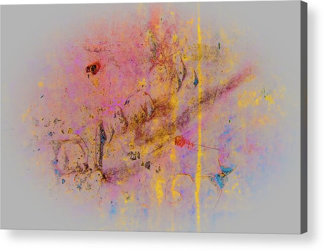 Abstract Acrylic Print featuring the photograph Revealed by Matt Cegelis