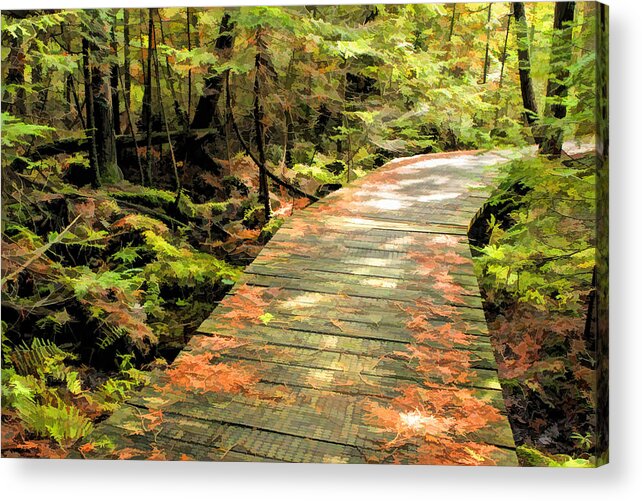 Door County Acrylic Print featuring the painting Ridges Sanctuary Boardwalk by Christopher Arndt