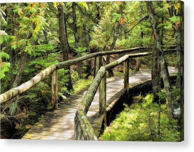 Door County Acrylic Print featuring the painting Ridges Sanctuary Curve by Christopher Arndt