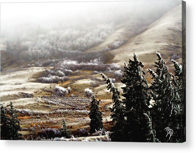 Landscape Acrylic Print featuring the photograph Roundup Frost by Darcy Dietrich