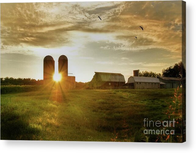 Dairy Farm Landscape Acrylic Print featuring the photograph Split Silo Sunset by Benanne Stiens