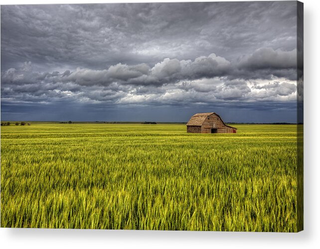Weather Acrylic Print featuring the photograph Storm Over Kansas Wheat by Douglas Berry