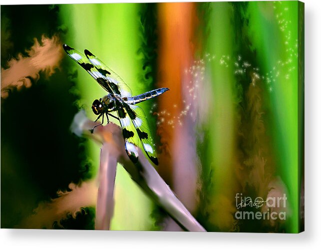 Dragonfly Acrylic Print featuring the photograph Striped Dragonfly by Lisa Redfern