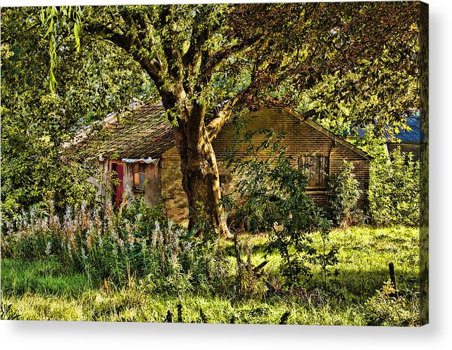 Barn Acrylic Print featuring the photograph Summer in Holland-2 by Casper Cammeraat