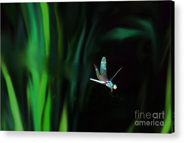 Dragonfly Acrylic Print featuring the digital art Taking Flight by Lisa Redfern