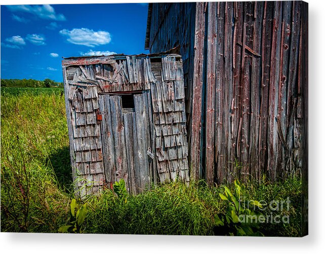 Abandoned Acrylic Print featuring the photograph Tiny Privy by Roger Monahan