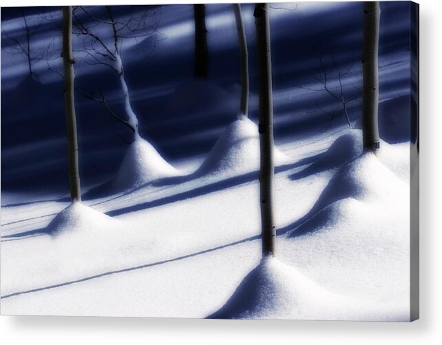 Tree Acrylic Print featuring the photograph Tree Trunks in Snow by Douglas Pulsipher