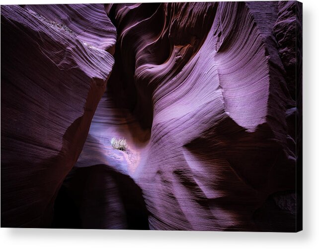 Antelope Canyon Acrylic Print featuring the photograph Twists and Turns II by Jon Glaser