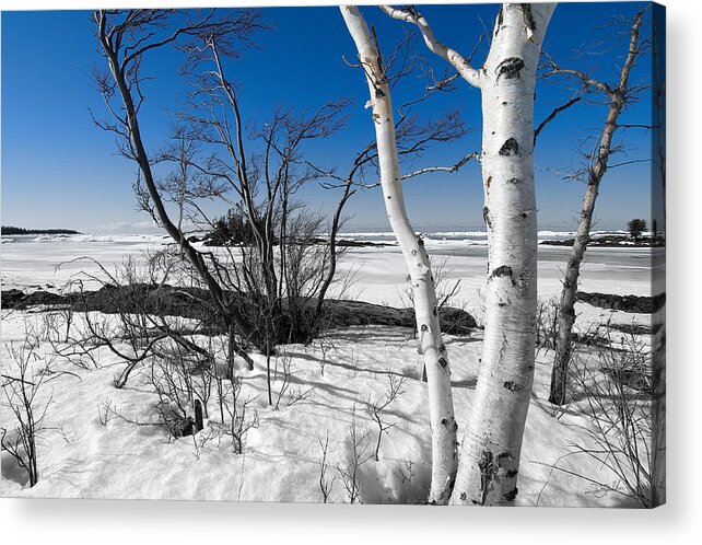 Lake Superior Acrylic Print featuring the photograph Waiting for Spring by Doug Gibbons