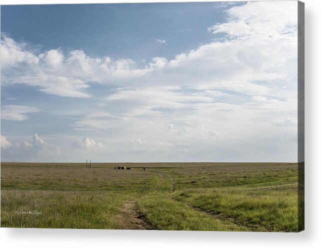 Texas Acrylic Print featuring the photograph Wide Open Spaces by Karen Slagle