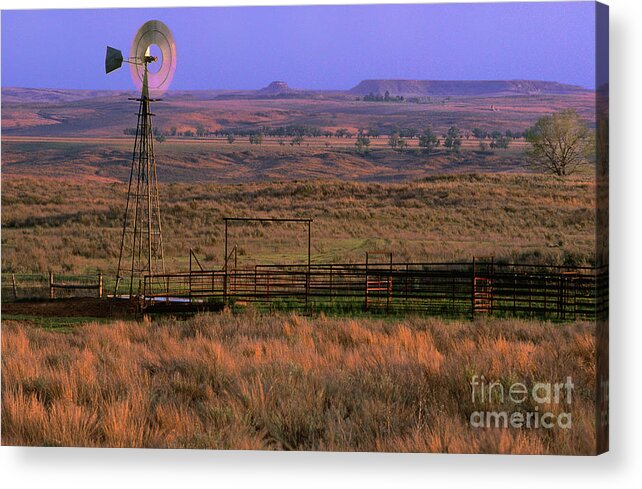 Dave Welling Acrylic Print featuring the photograph Windmill Cattle Fencing Texas Panhandle by Dave Welling