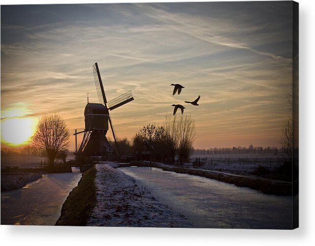 Dutch Acrylic Print featuring the photograph Winter in Holland-1 by Casper Cammeraat