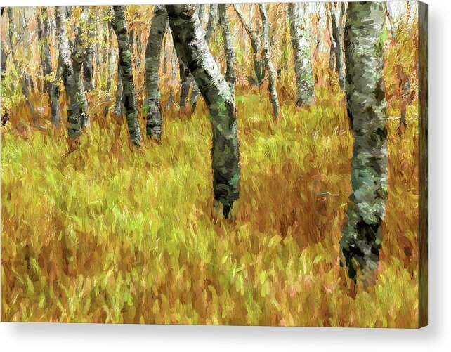 North Carolina Acrylic Print featuring the painting Autumn at Craggy Gardens AP by Dan Carmichael