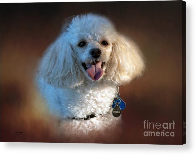 Pets Acrylic Print featuring the mixed media Charlie by DB Hayes