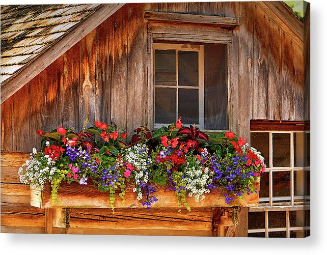 Posters Acrylic Print featuring the photograph Cottage Flowers by Rod Melotte