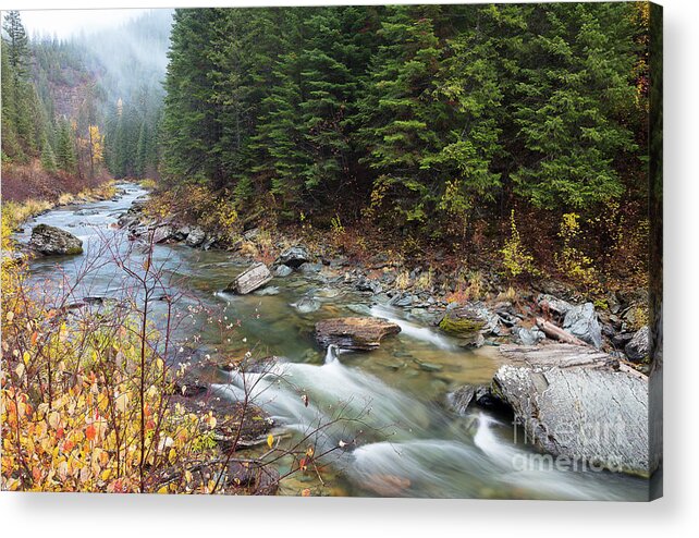 Avery Acrylic Print featuring the photograph North Fork of the St. Joe River Autumn by Idaho Scenic Images Linda Lantzy