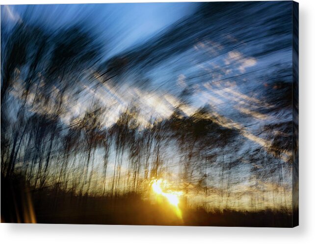  Acrylic Print featuring the photograph Pines at Sunset 2 by Gerald Grow