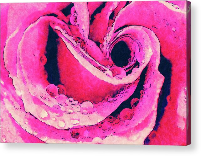 Rose Acrylic Print featuring the digital art Pink Rose with Water Droplets FX by Dan Carmichael