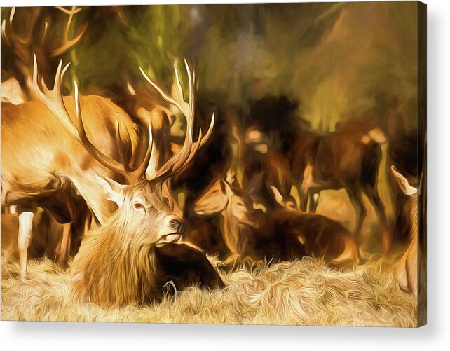 Color Acrylic Print featuring the digital art Red Deer Stag Painting by Rick Deacon