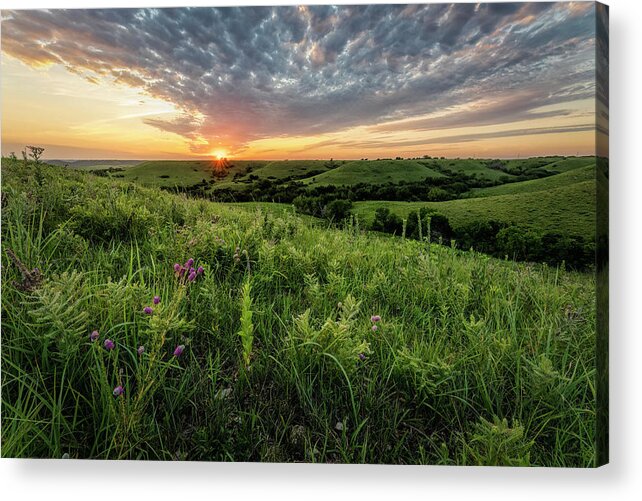 Colorful Acrylic Print featuring the photograph Transitions by Scott Bean