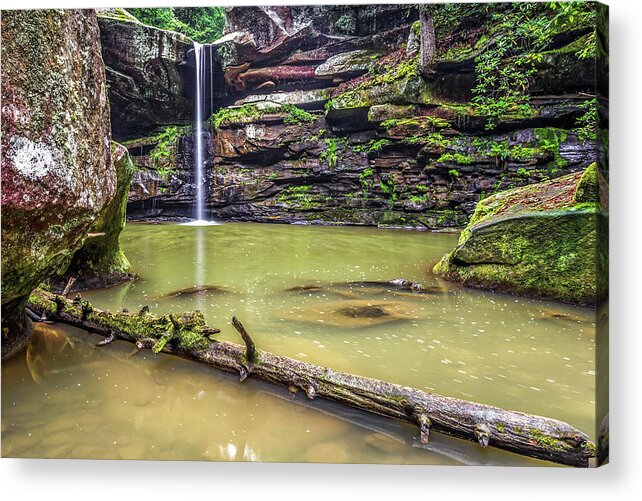 Fall Acrylic Print featuring the photograph Waterlogged by Ed Newell