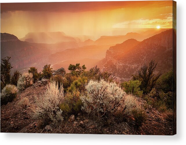 Grand Canyon National Park Acrylic Print featuring the photograph Grand Canyon by Whit Richardson