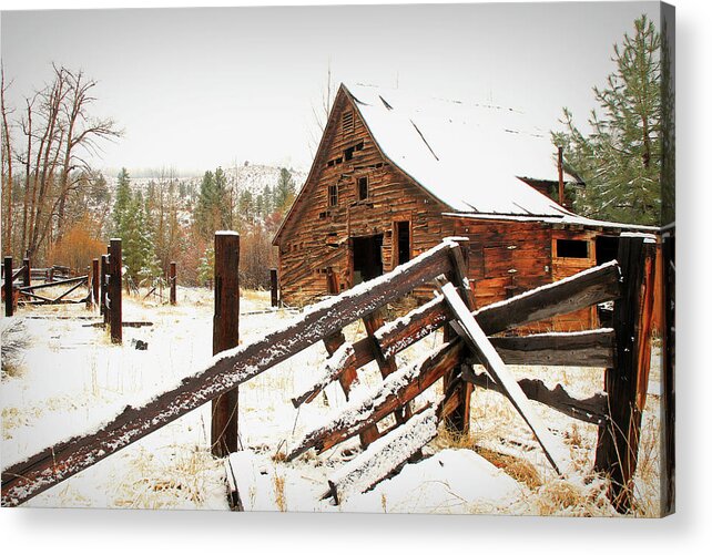 Barns Acrylic Print featuring the photograph Surviving the Elements by Donna Kennedy