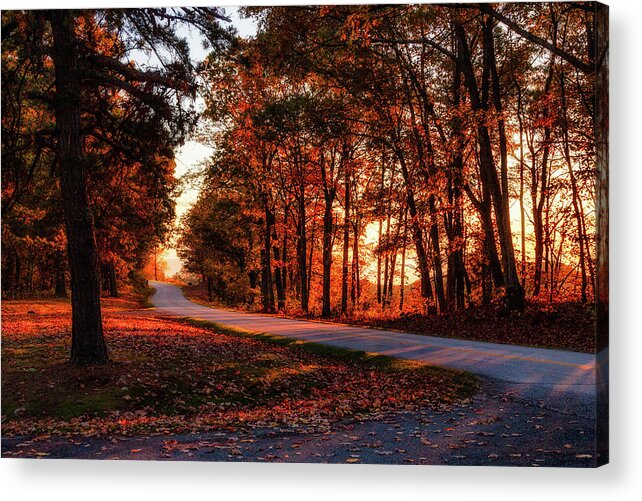 Fall Acrylic Print featuring the photograph Autumn Sunset Through the Trees by Dan Carmichael