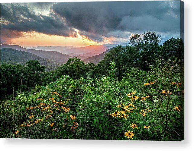 Evening Acrylic Print featuring the photograph Blue Ridge Parkway Asheville NC Wildflower Sunset Scenic by Robert Stephens