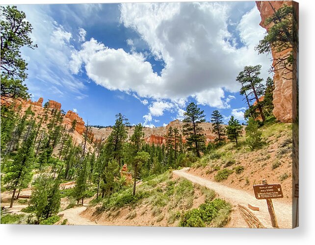 Bryce Canyon National Acrylic Print featuring the photograph Bryce Canyon Hiking by Jessica Yurinko