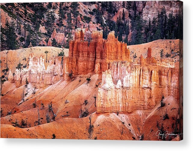 2020 Utah Trip Acrylic Print featuring the photograph Bryce Canyon Hoodoos by Gary Johnson