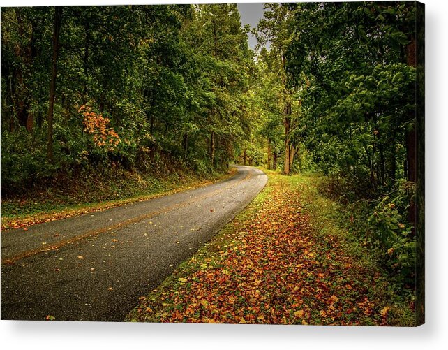 'blue Ridge Parkway' Acrylic Print featuring the photograph Color Carpet by Deb Beausoleil