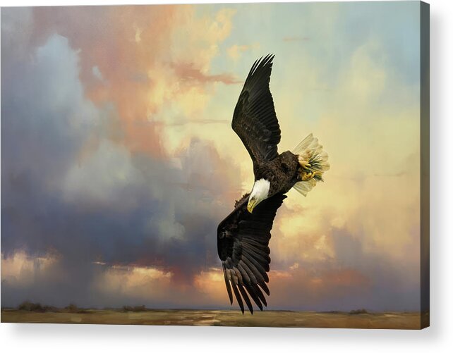 Bald Eagle Acrylic Print featuring the photograph Coming Down To Earth by Jai Johnson