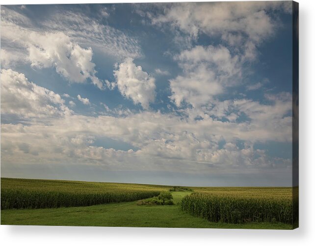 Great Plains Acrylic Print featuring the photograph Corn Field by Scott Bean