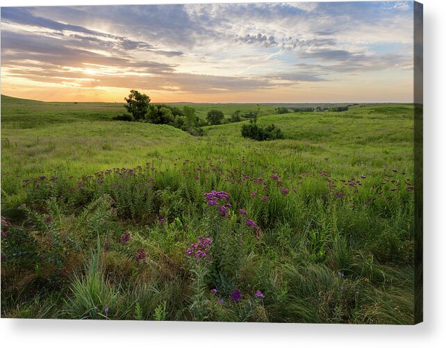 Colorful Acrylic Print featuring the photograph Cycles by Scott Bean