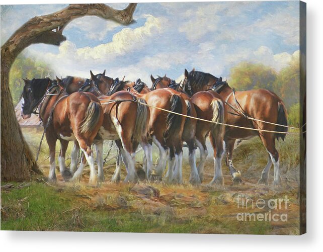 Clydesdale Acrylic Print featuring the digital art Days Go By by Trudi Simmonds