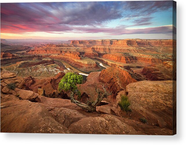 Moab Acrylic Print featuring the photograph Dead Horse Point by Whit Richardson