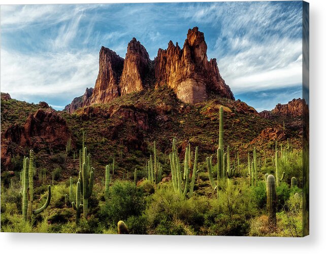 Arizona Acrylic Print featuring the photograph Feeling Superstitious by Guy Schmickle