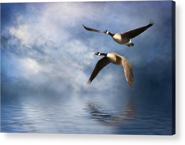 Geese Acrylic Print featuring the digital art Flying Home by Nicole Wilde