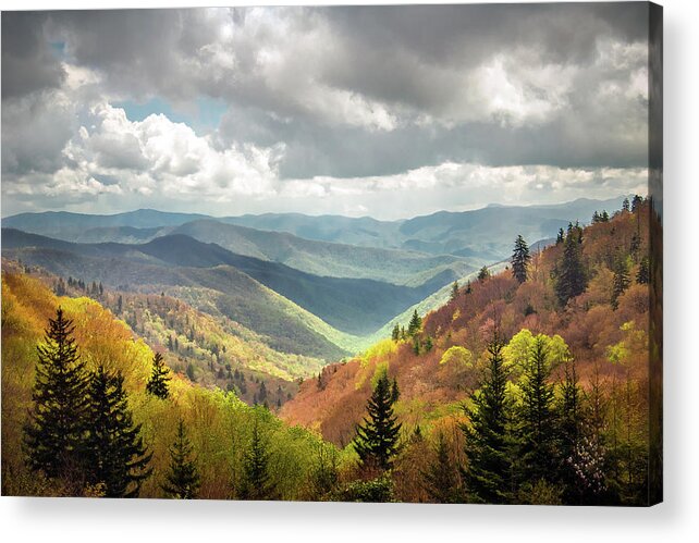 Spring Acrylic Print featuring the photograph Great Smoky Mountains National Park NC Arrival by Robert Stephens