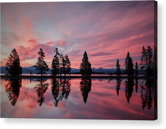  Acrylic Print featuring the photograph Gull Point at Sunrise by Jon Glaser