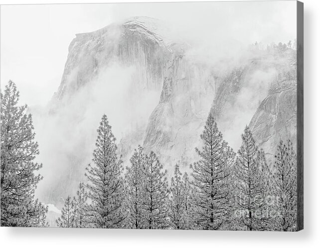Yosemite Acrylic Print featuring the photograph Half Dome Fogged In by Sharon Seaward