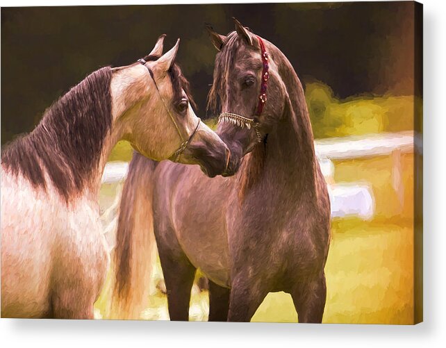 Nuzzling Horses Acrylic Print featuring the digital art Horses Nuzzling by Steve Ladner