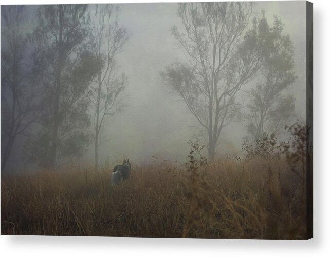 Fog Acrylic Print featuring the digital art Into the Mist by Nicole Wilde