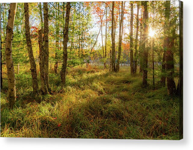 Acadia Acrylic Print featuring the photograph Jesup Trail Sunrise #6 by Bryan Bzdula