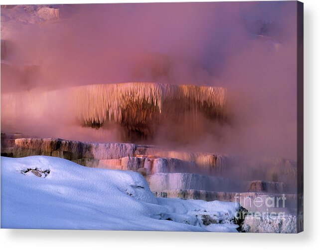 Dave Welling Acrylic Print featuring the photograph Minerva Springs Yellowstone National Park Wyoming by Dave Welling