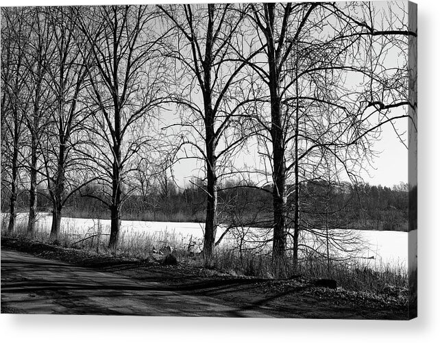 Photography Acrylic Print featuring the photograph My Way In Monochrome by Aleksandrs Drozdovs