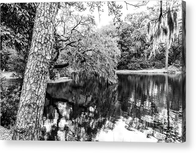 Pond Reflection Acrylic Print featuring the photograph Pond Reflection at Charles Towne Landing by John Rizzuto