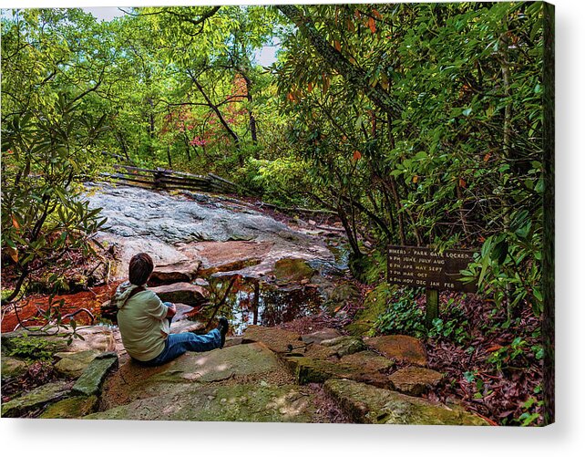 North Carolina Acrylic Print featuring the photograph Pondering the Day by Dan Carmichael