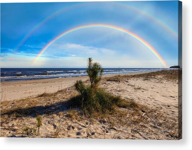 Little Pine Acrylic Print featuring the photograph Rainbow And Little Pine OnThe Beach Jurmala I by Aleksandrs Drozdovs